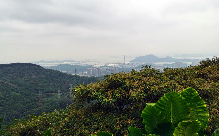激扬青春、奋勇攀登登山活动